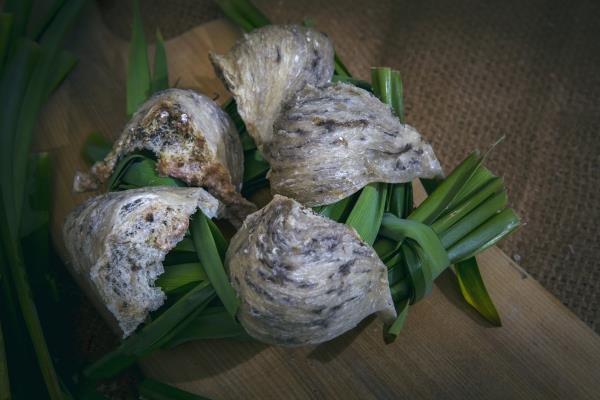 Các loại tổ yến sào trên thị trường hiện nay